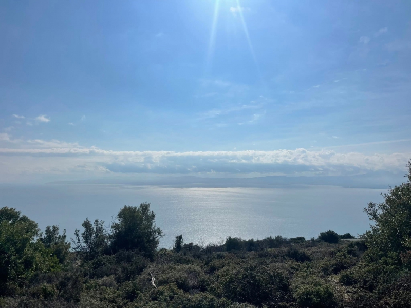 מגרש למכירה 13 וחצי דונם מעל הכפר איליה צפון האי אוויה